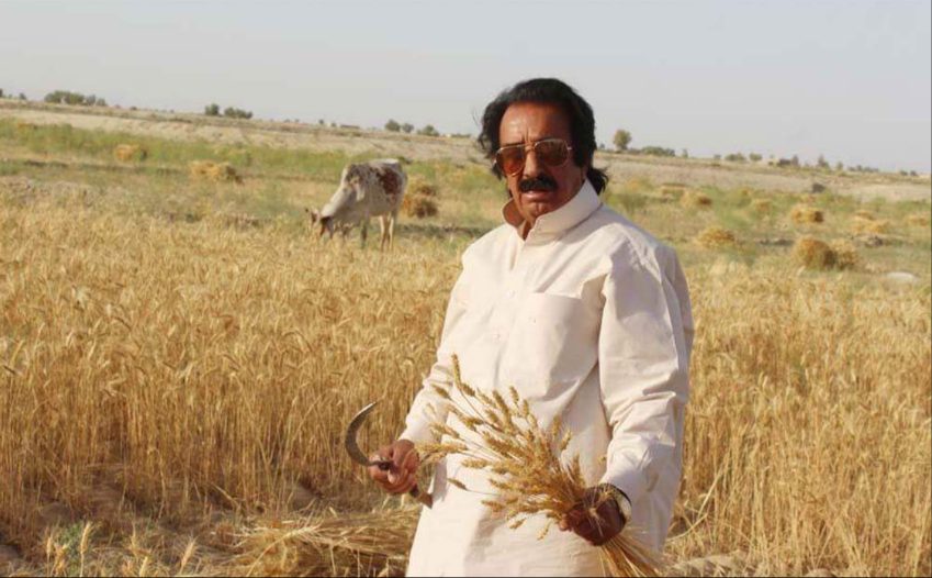 Revive Agriculture and Border Trade to Fix Balochistan Jobs, Says Noshirwani
